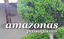 Amazonas Paisagismo - Foto 1