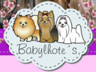 babylhotes_criacao_animais-1428789469