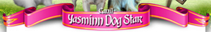 Canil Yasminn Dog Star - Foto 1