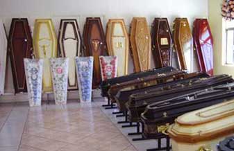 Plano Vida - Foto 1