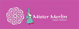 Mister Merlin Espaço Holístico - Foto 1