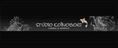 studio_koinobori_centro_estetica-1429607016