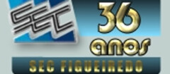 sec_figueiredo-1433240584