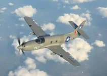 C-17 da Força Aérea dos Estados Unidos