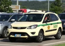 fraude em compra de carro