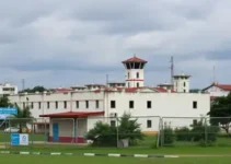 transferência de Vorcaro e Zettel