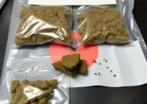 apreensão de haxixe