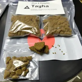 apreensão de haxixe