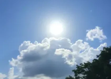 Últimas notícias de Guarulhos