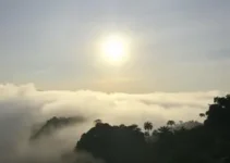 previsão do tempo Guarulhos