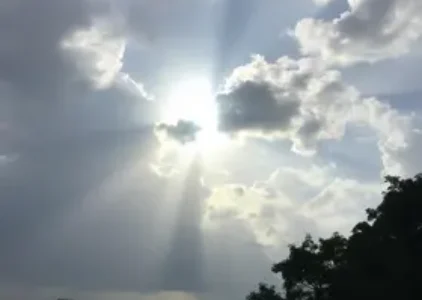 Últimas notícias de Guarulhos