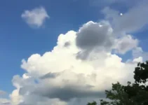 previsão do tempo