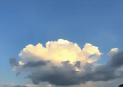 Últimas notícias de Guarulhos