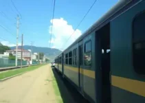 leilão do Detran-SP