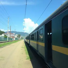 leilão do Detran-SP