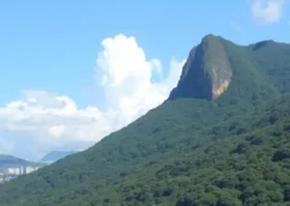 Últimas notícias de Guarulhos