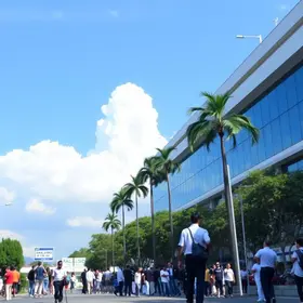 mutirão de emprego