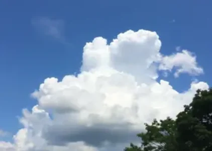 Últimas notícias de Guarulhos