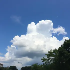 previsão do tempo em Guarulhos (SP)