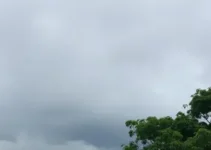 previsão do tempo Guarulhos