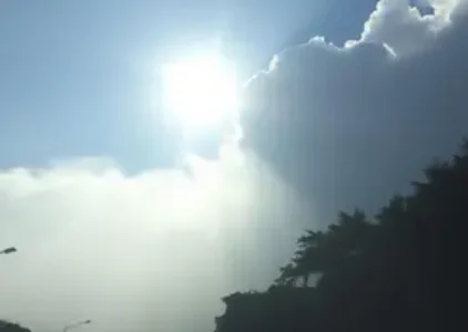Últimas notícias de Guarulhos