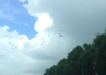 Últimas notícias de Guarulhos