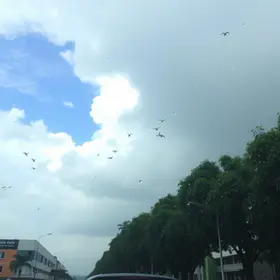 Previsão do tempo Guarulhos