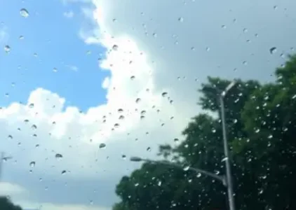 Últimas notícias de Guarulhos