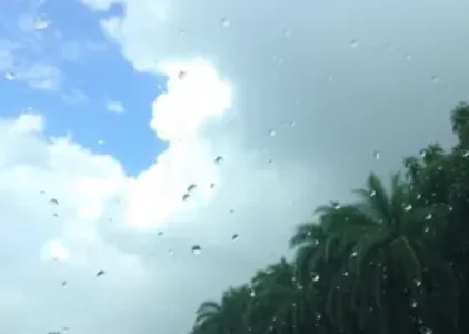 Últimas notícias de Guarulhos