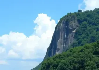 Últimas notícias de Guarulhos