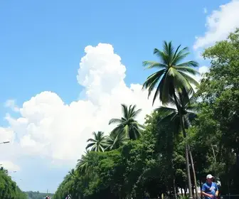 cadernos de reta final GCM Guarulhos