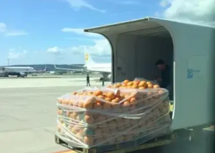 Últimas notícias de Guarulhos