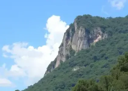 Últimas notícias de Guarulhos