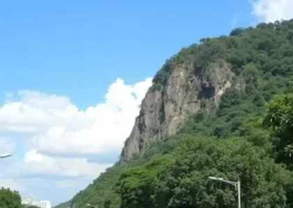 Últimas notícias de Guarulhos