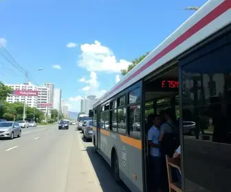 transporte gratuito