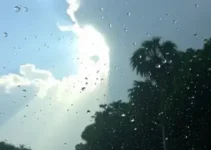 previsão do tempo Guarulhos