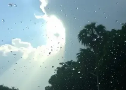 Últimas notícias de Guarulhos
