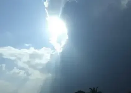 Últimas notícias de Guarulhos